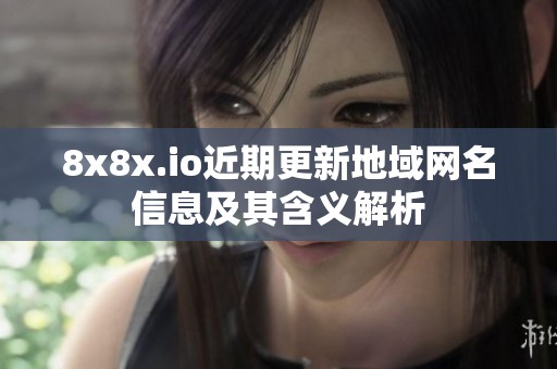 8x8x.io近期更新地域网名信息及其含义解析