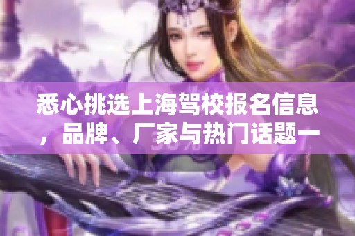 悉心挑选上海驾校报名信息，品牌、厂家与热门话题一览无余