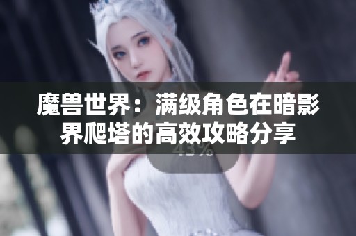 魔兽世界：满级角色在暗影界爬塔的高效攻略分享