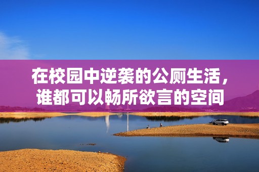 在校园中逆袭的公厕生活，谁都可以畅所欲言的空间