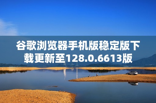 谷歌浏览器手机版稳定版下载更新至128.0.6613版