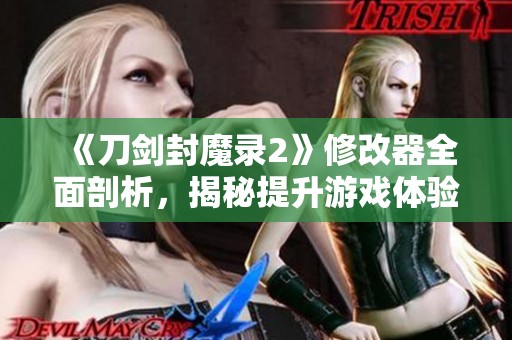 《刀剑封魔录2》修改器全面剖析，揭秘提升游戏体验的秘密武器