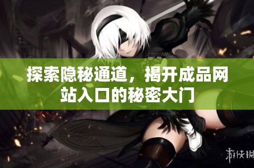探索隐秘通道，揭开成品网站入口的秘密大门