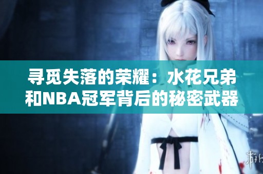 寻觅失落的荣耀：水花兄弟和NBA冠军背后的秘密武器