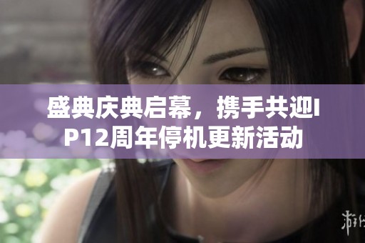 盛典庆典启幕，携手共迎IP12周年停机更新活动