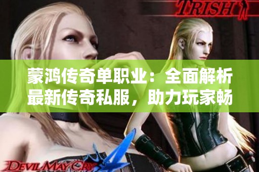 蒙鸿传奇单职业：全面解析最新传奇私服，助力玩家畅享游戏之旅