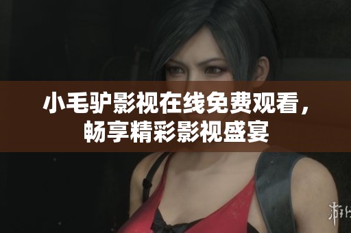 小毛驴影视在线免费观看，畅享精彩影视盛宴