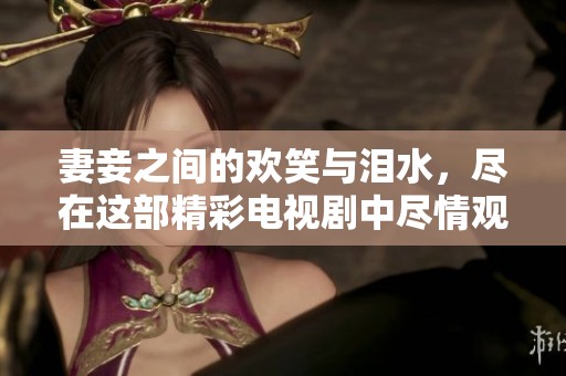 妻妾之间的欢笑与泪水，尽在这部精彩电视剧中尽情观看