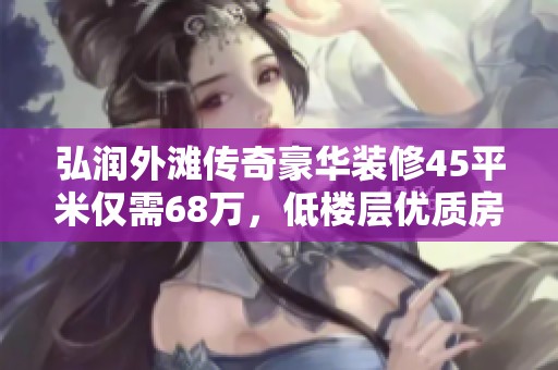 弘润外滩传奇豪华装修45平米仅需68万，低楼层优质房源待售