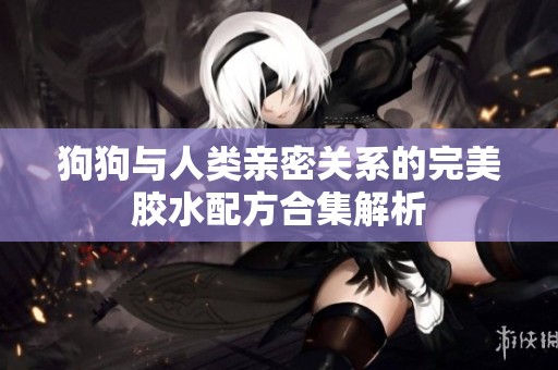 狗狗与人类亲密关系的完美胶水配方合集解析