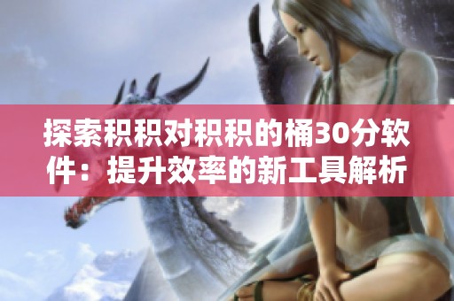 探索积积对积积的桶30分软件：提升效率的新工具解析