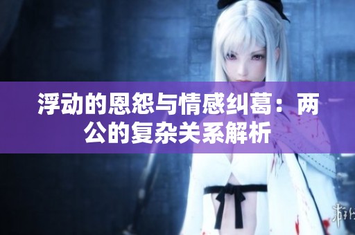 浮动的恩怨与情感纠葛：两公的复杂关系解析