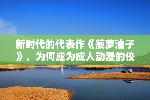 新时代的代表作《菠萝油子》，为何成为成人动漫的佼佼者？
