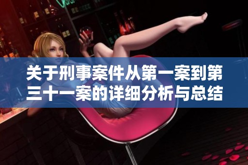 关于刑事案件从第一案到第三十一案的详细分析与总结