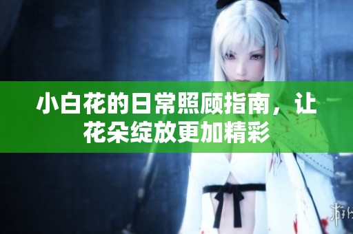 小白花的日常照顾指南，让花朵绽放更加精彩