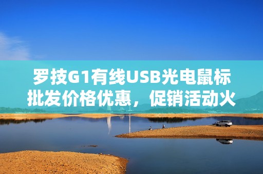 罗技G1有线USB光电鼠标批发价格优惠，促销活动火热进行中