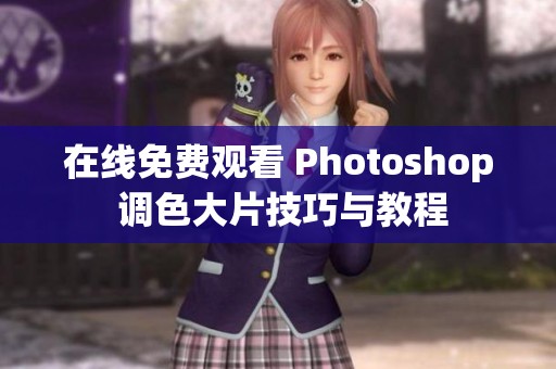 在线免费观看 Photoshop 调色大片技巧与教程
