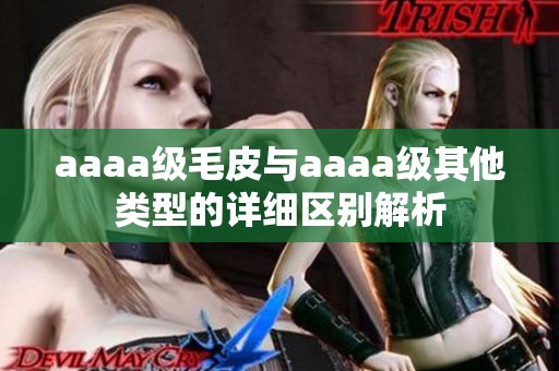 aaaa级毛皮与aaaa级其他类型的详细区别解析