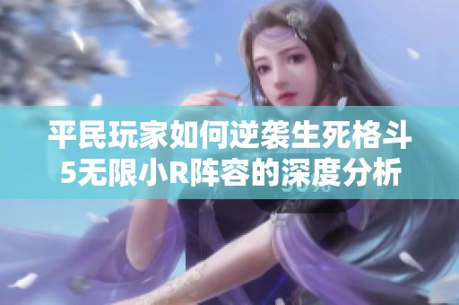 平民玩家如何逆袭生死格斗5无限小R阵容的深度分析