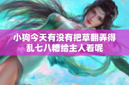 小狗今天有没有把草翻弄得乱七八糟给主人看呢