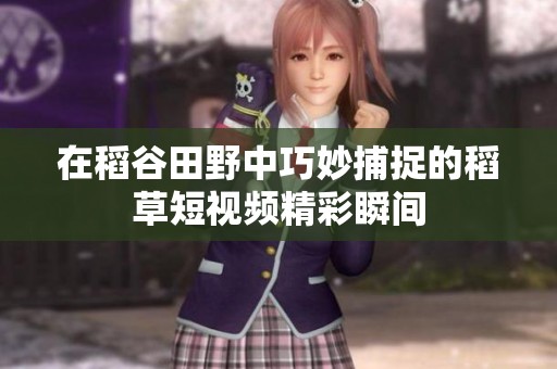 在稻谷田野中巧妙捕捉的稻草短视频精彩瞬间