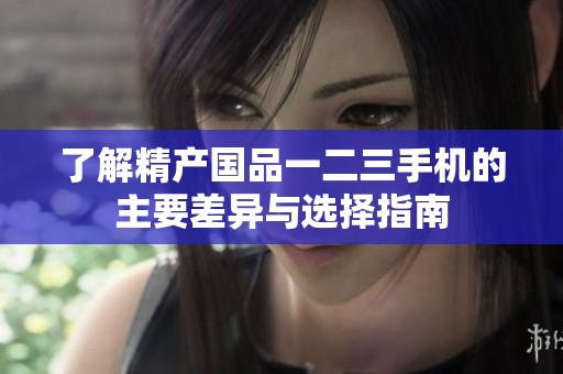 了解精产国品一二三手机的主要差异与选择指南