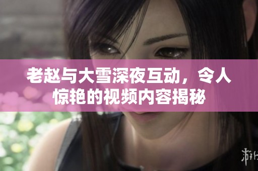 老赵与大雪深夜互动，令人惊艳的视频内容揭秘