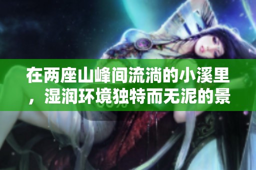 在两座山峰间流淌的小溪里，湿润环境独特而无泥的景致