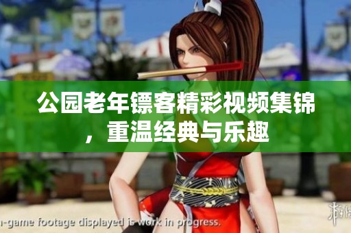 公园老年镖客精彩视频集锦，重温经典与乐趣