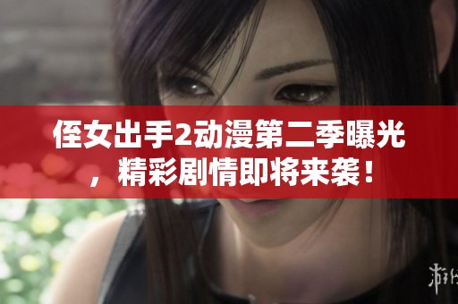侄女出手2动漫第二季曝光，精彩剧情即将来袭！