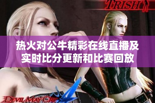 热火对公牛精彩在线直播及实时比分更新和比赛回放
