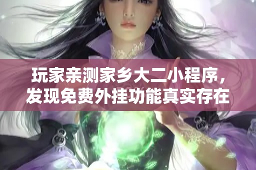 玩家亲测家乡大二小程序，发现免费外挂功能真实存在