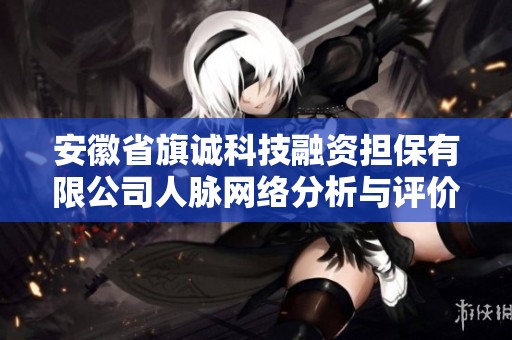 安徽省旗诚科技融资担保有限公司人脉网络分析与评价研究