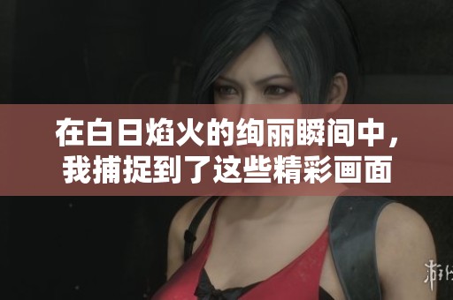在白日焰火的绚丽瞬间中，我捕捉到了这些精彩画面