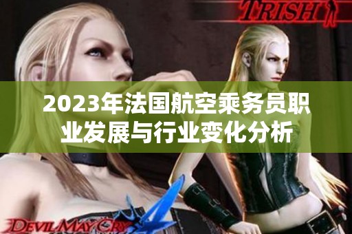 2023年法国航空乘务员职业发展与行业变化分析