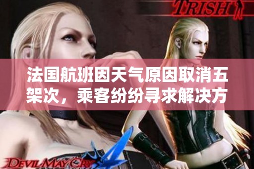 法国航班因天气原因取消五架次，乘客纷纷寻求解决方案