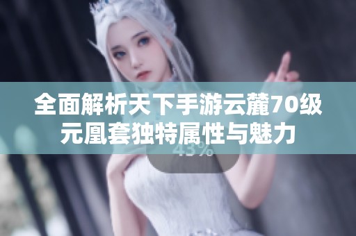 全面解析天下手游云麓70级元凰套独特属性与魅力