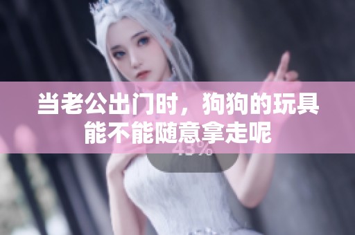 当老公出门时，狗狗的玩具能不能随意拿走呢