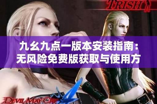 九幺九点一版本安装指南：无风险免费版获取与使用方法分析