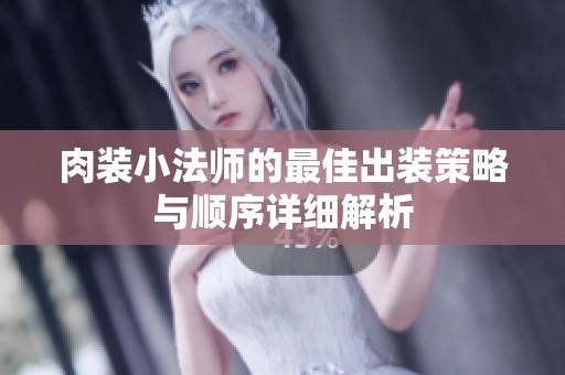 肉装小法师的最佳出装策略与顺序详细解析
