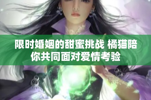 限时婚姻的甜蜜挑战 橘猫陪你共同面对爱情考验