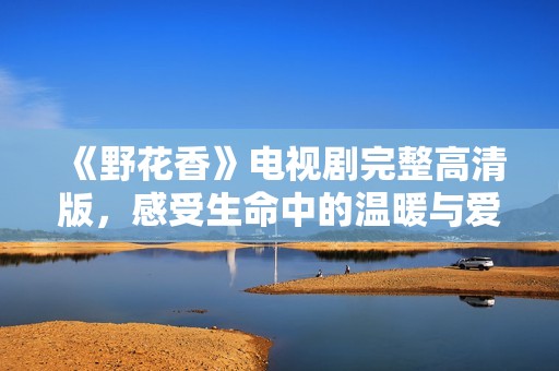 《野花香》电视剧完整高清版，感受生命中的温暖与爱情