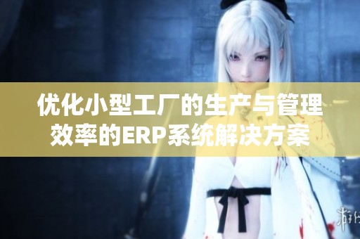 优化小型工厂的生产与管理效率的ERP系统解决方案