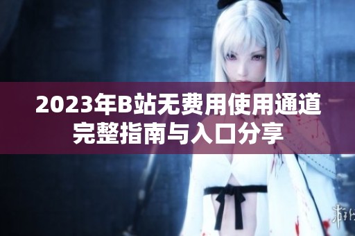2023年B站无费用使用通道完整指南与入口分享