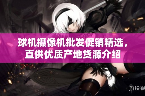 球机摄像机批发促销精选，直供优质产地货源介绍