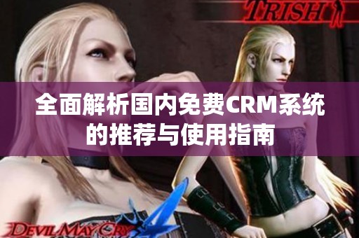全面解析国内免费CRM系统的推荐与使用指南