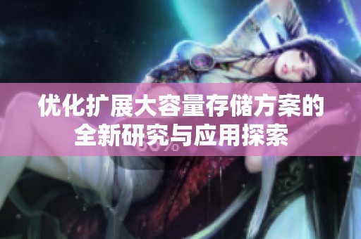 优化扩展大容量存储方案的全新研究与应用探索