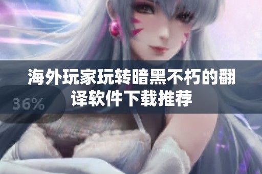 海外玩家玩转暗黑不朽的翻译软件下载推荐
