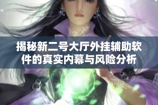 揭秘新二号大厅外挂辅助软件的真实内幕与风险分析