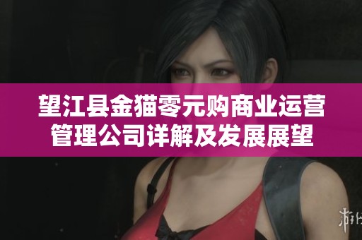 望江县金猫零元购商业运营管理公司详解及发展展望
